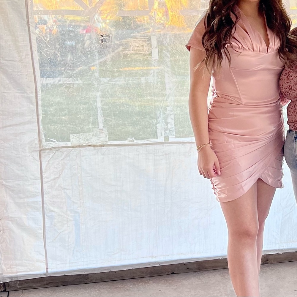 Showpo Pink Corset dress